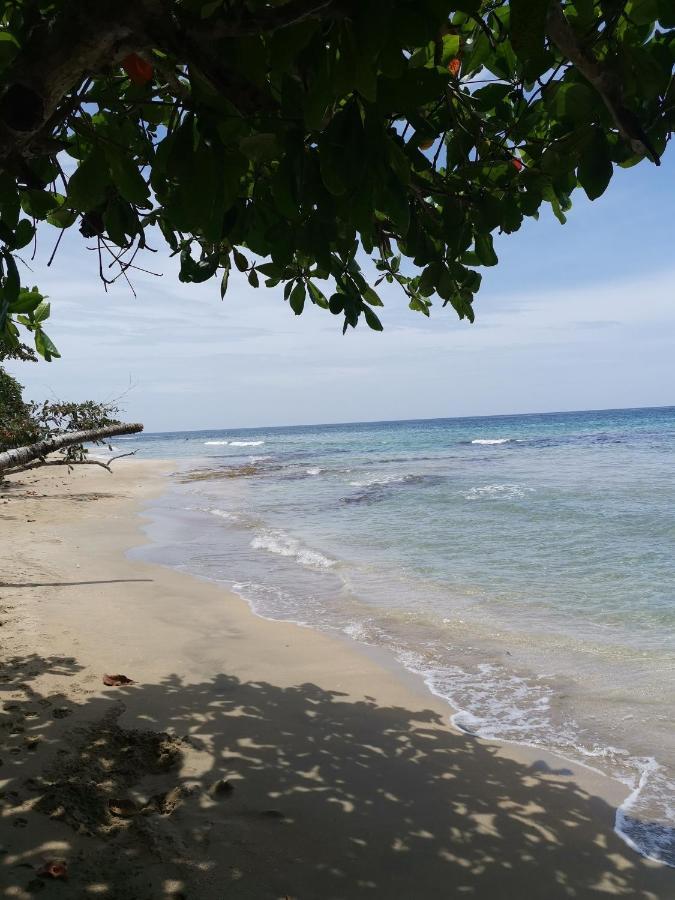 Hostal Cecilia Puerto Viejo de Talamanca 외부 사진