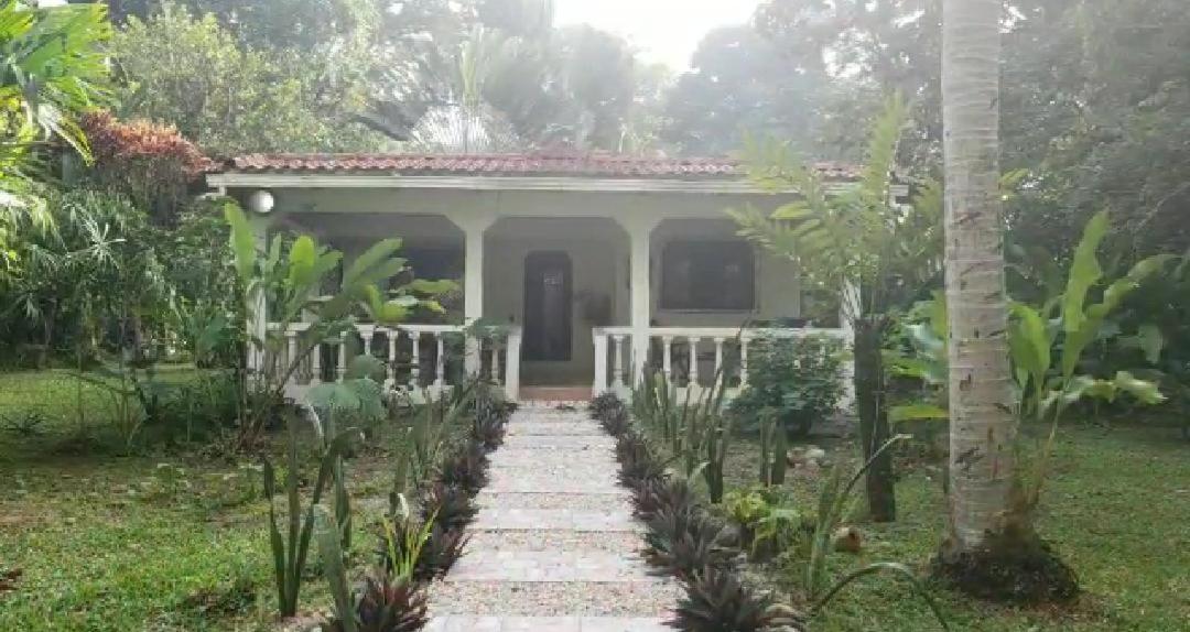 Hostal Cecilia Puerto Viejo de Talamanca 외부 사진