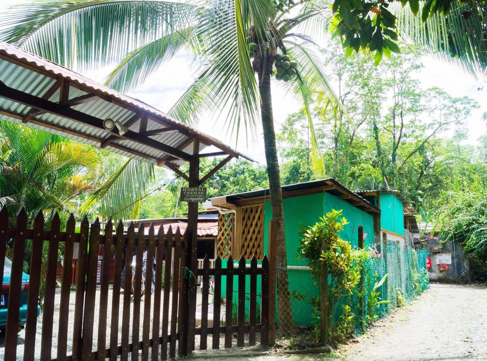 Hostal Cecilia Puerto Viejo de Talamanca 외부 사진