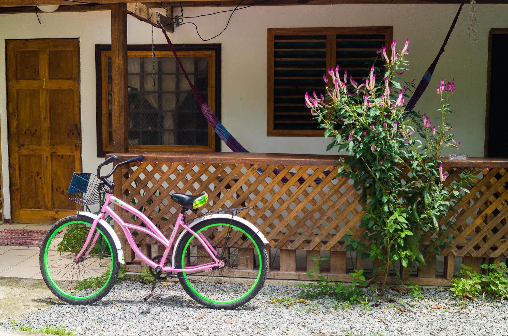 Hostal Cecilia Puerto Viejo de Talamanca 외부 사진