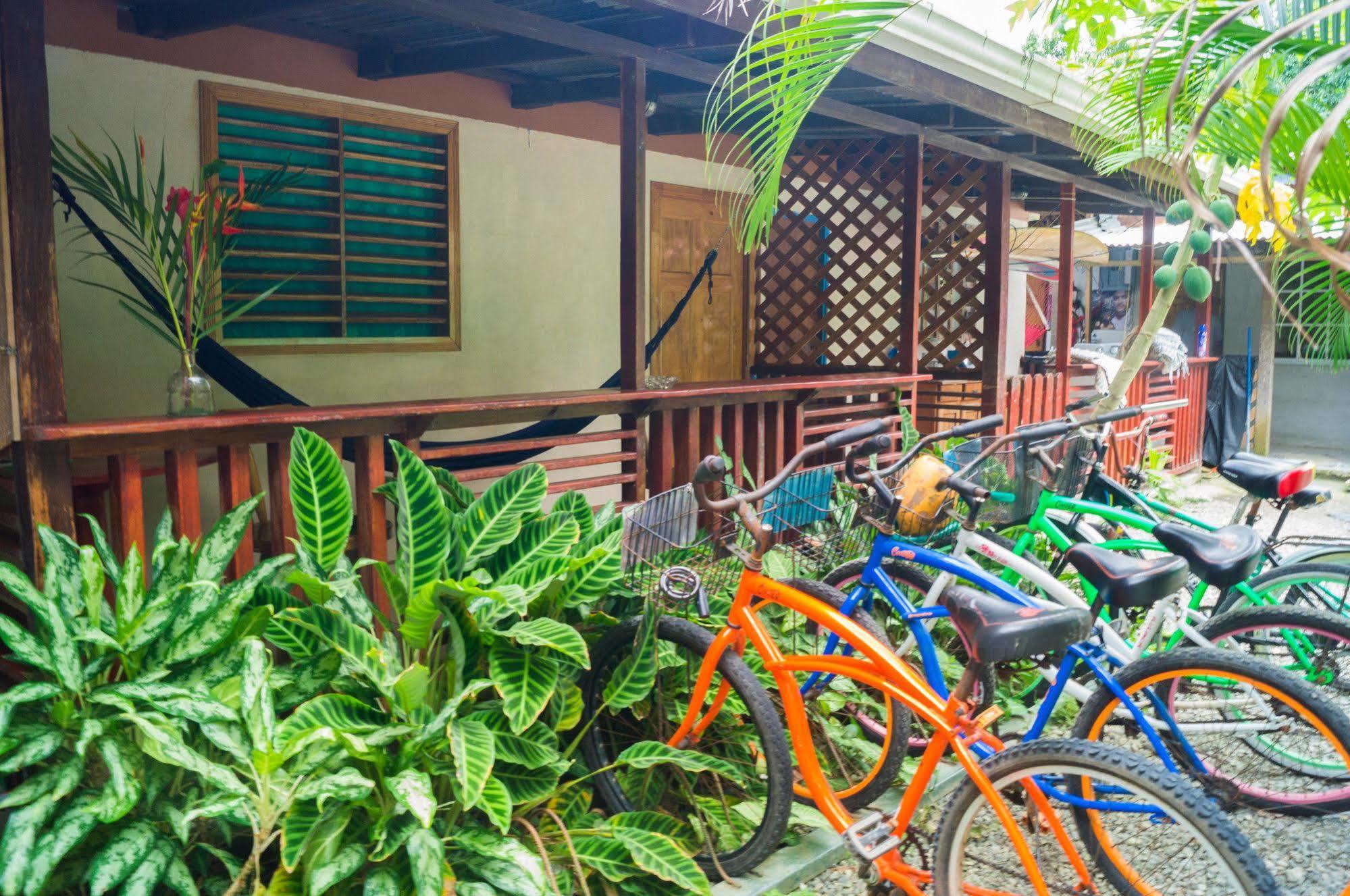 Hostal Cecilia Puerto Viejo de Talamanca 외부 사진