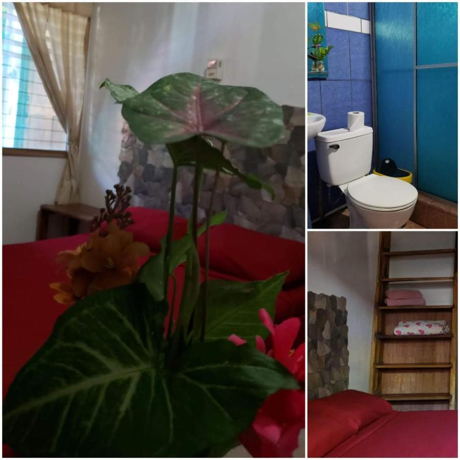 Hostal Cecilia Puerto Viejo de Talamanca 외부 사진